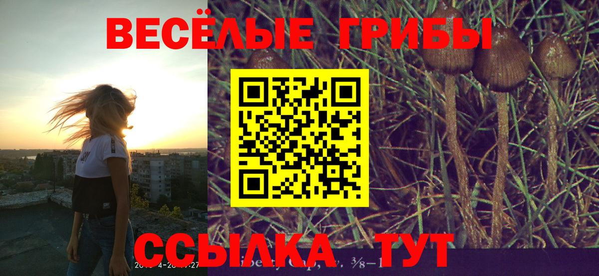 Псилоцибиновые грибы Magic Shrooms  Галлюциногенные грибы Psilocybe  Приморско-Ахтарск  Вход с VPN 